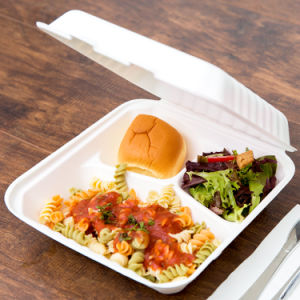 Sugarcane Bagasse Container – 3-Comp, 8″ x 8″ x 3″, 200 pcs