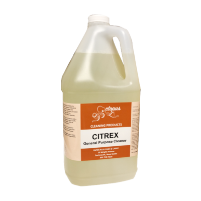 Bebbington General Purpose Cleaner – 4 L