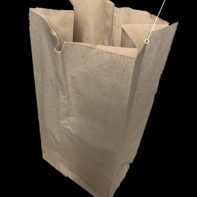Kraft Paper Bags – 25 lb, Double-Wall, 250/Case