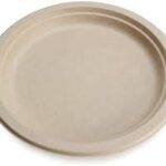 Sugarcane Round Plate – 10″, 500 pcs