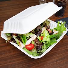 Sugarcane Bagasse Container – 1-Comp, 8″ x 8″ x 3″, 200 pcs